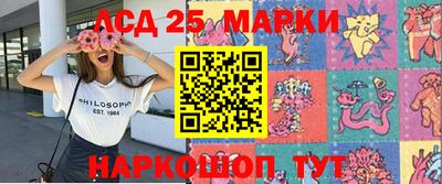 индика Гагарин