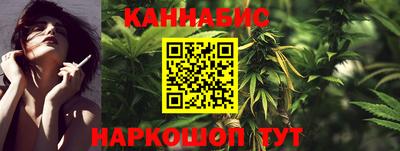 индика Гагарин
