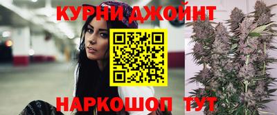 индика Гагарин