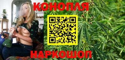 дурь Гатчина
