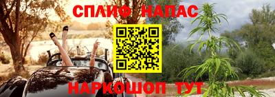 дурь Гатчина