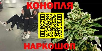 PSILOCYBIN Кунгур