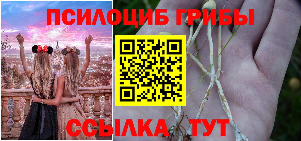 Псилоцибиновые грибы мухоморы Ликино-Дулёво